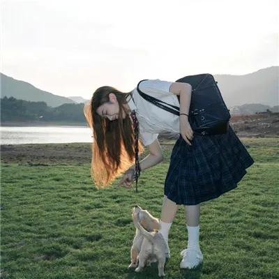 樱花革命:花开时的少女们