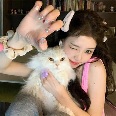 暗金烂狗8